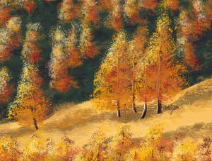 FALL FOREST ORANGE
