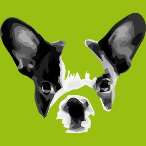 BULLDOG FRANCÊS COM FUNDO VERDE