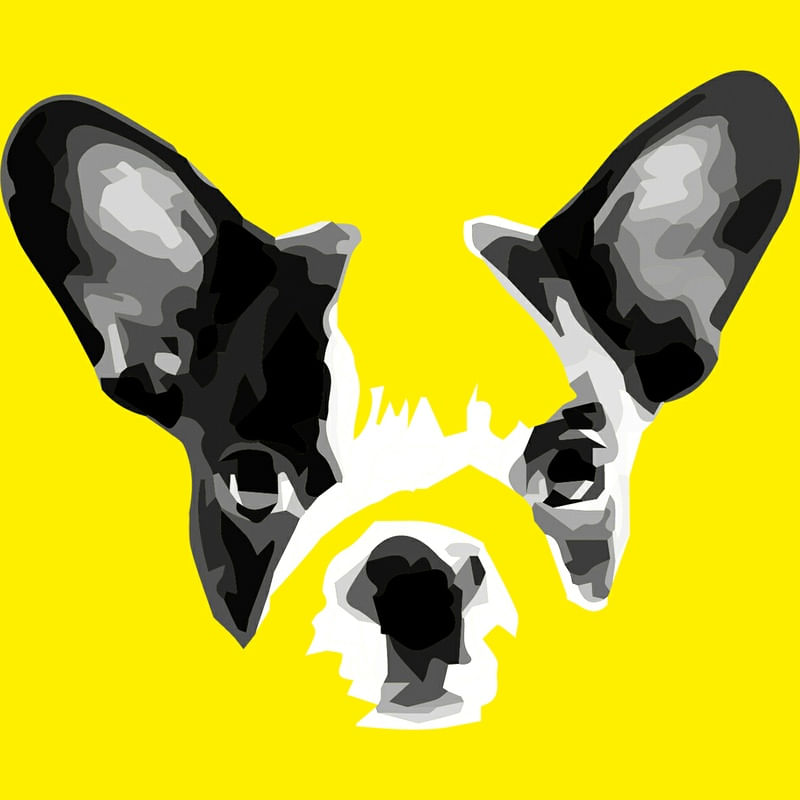BULLDOG FRANCÊS FUNDO AMARELO