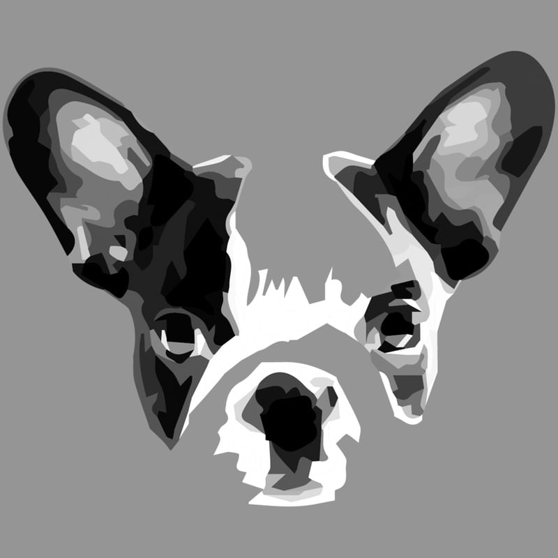 BULLDOG FRANCÊS COM FUNDO CINZA