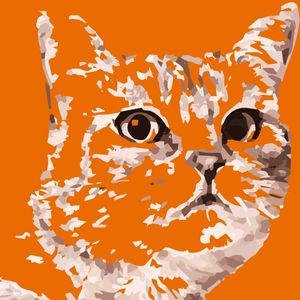 GATO COM FUNDO NA COR LARANJA