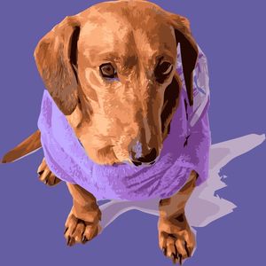 DESENHO DE CACHORRO DACHSHUND COM FUNDO ROXO