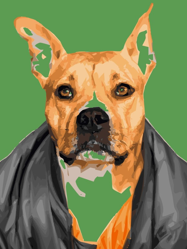 DOG ESTILOSO COM FUNDO VERDE