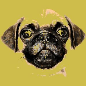 CACHORRO VESGO FUNDO AMARELO QUEIMADO