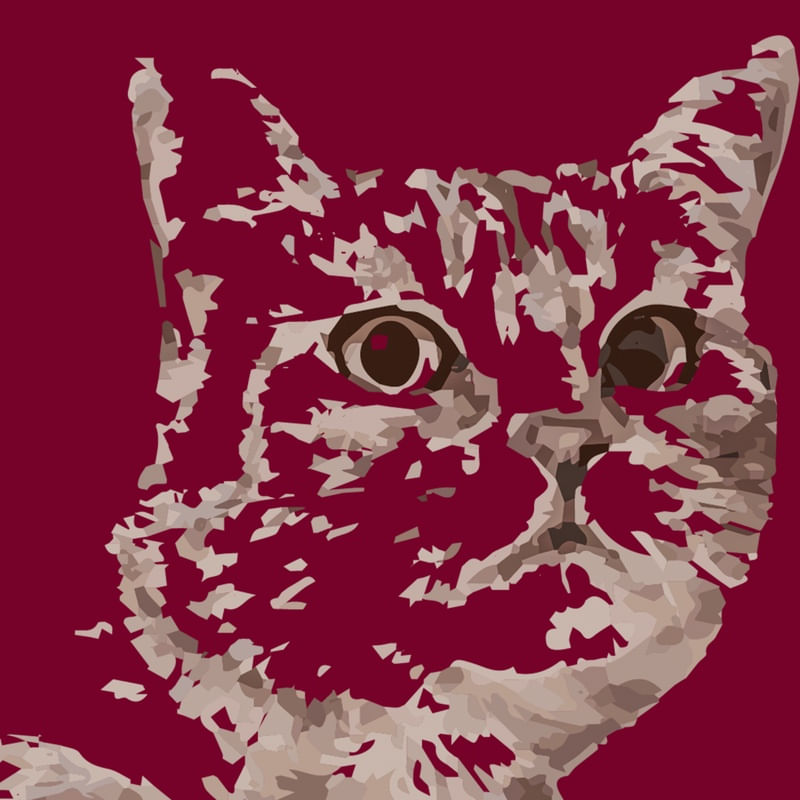 GATO COM FUNDO NA COR BORDÔ