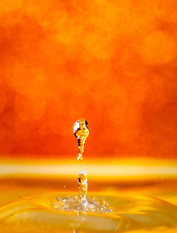 GOTA DOURADA1