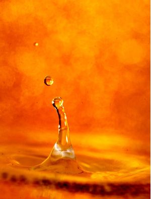 GOTA DOURADA10