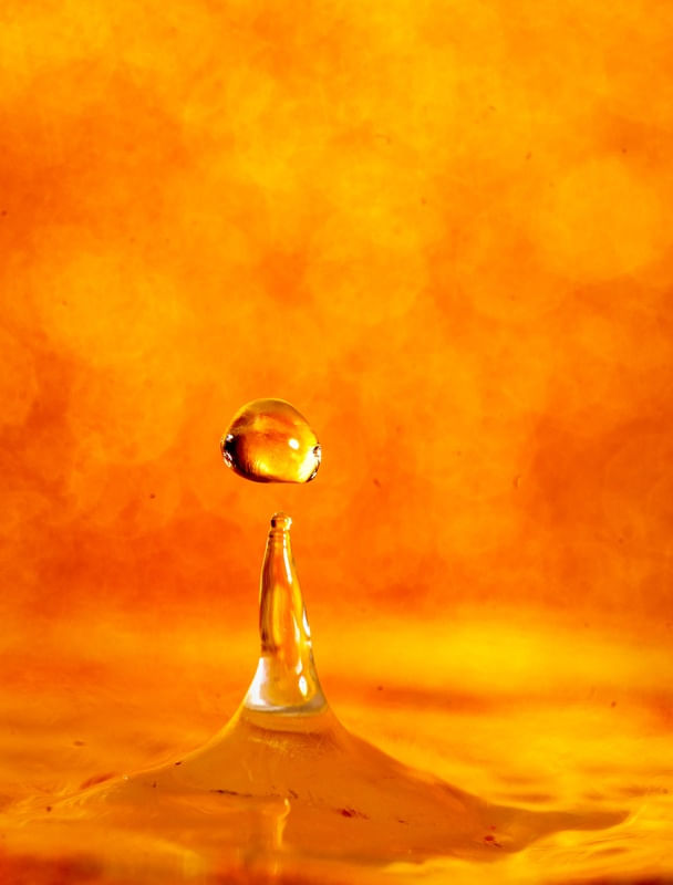 GOTA DOURADA11