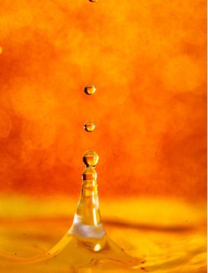 GOTA DOURADA14