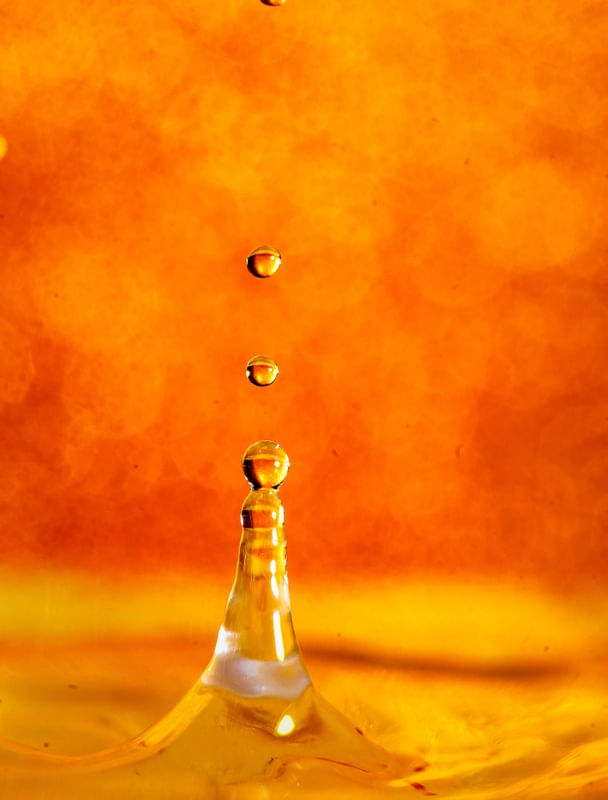 GOTA DOURADA14