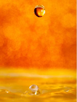 GOTA DOURADA16
