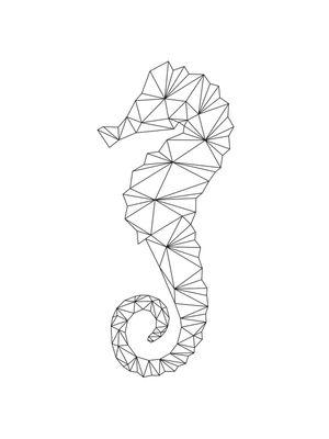 CAVALO MARINHO GEOMÉTRICO - BRANCO