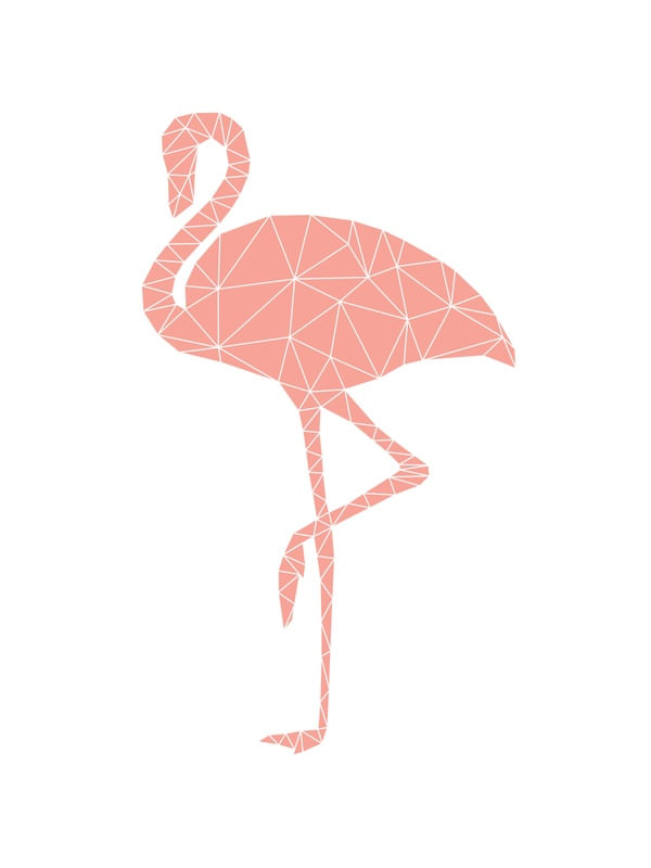 FLAMINGO GEOMÉTRICO - CORAL