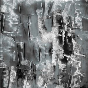 CITY SMUDGE, COOL GREYSCALE