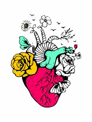 HAPPY HEART ANATOMY COLORS