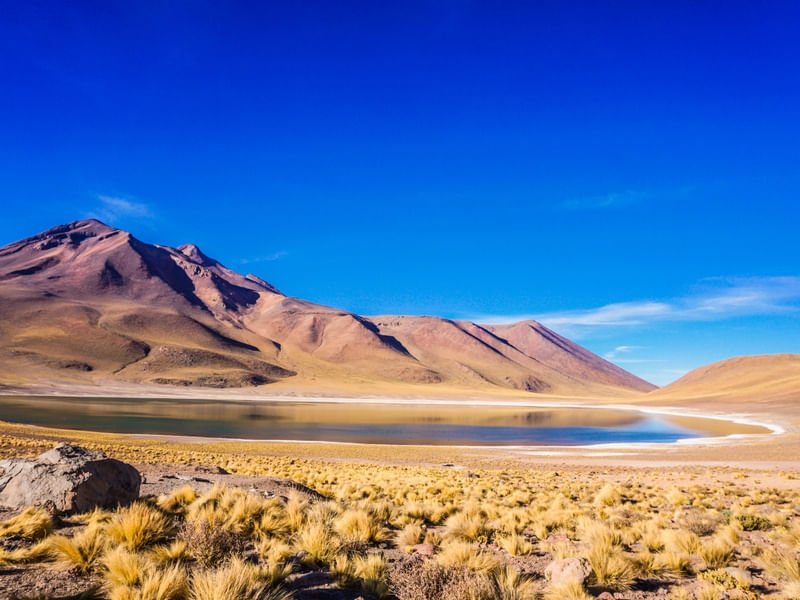 LAGUNAS ALTIPLANICAS - CHILE