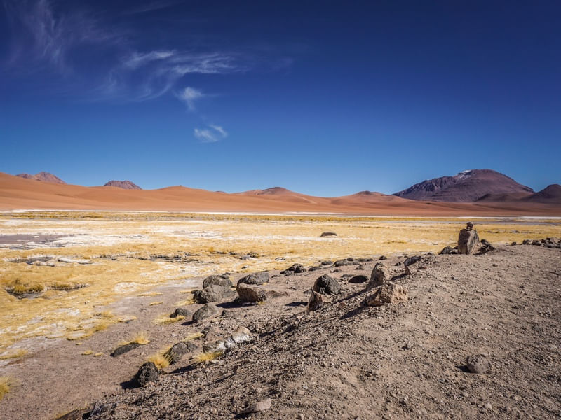 CORES DO CHILE