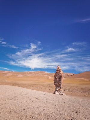 SALAR DE TARA