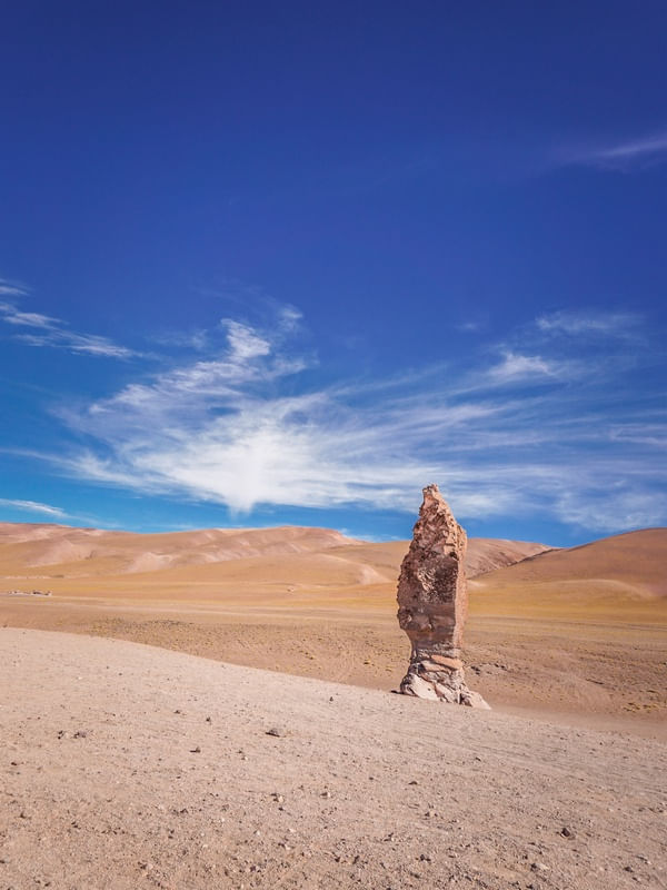 SALAR DE TARA