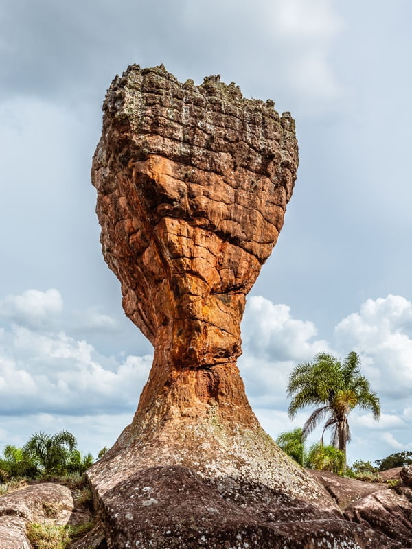 A TAÇA
