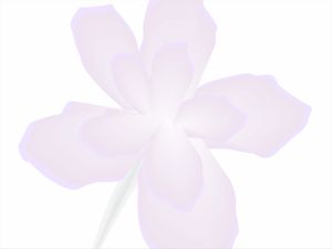 FLOR SUAVE