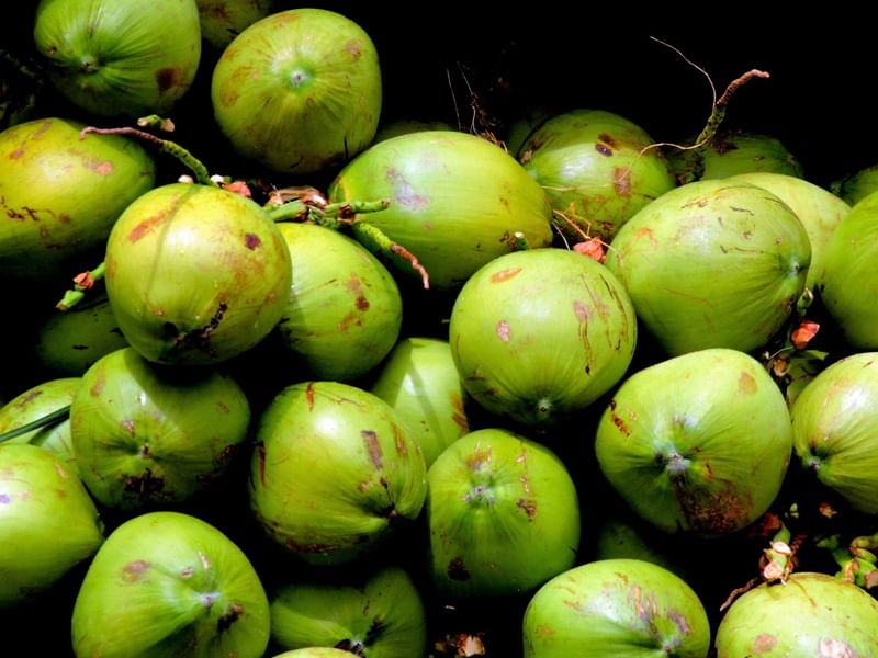 VERDE COCO