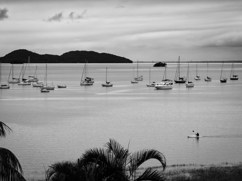 VISÃO DO MAR DE ANTONINA