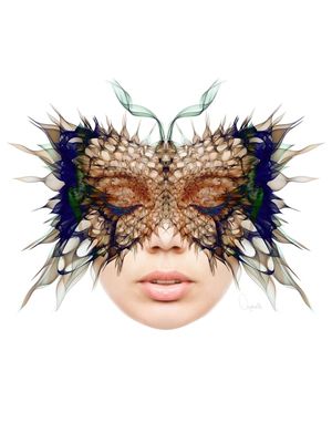 QUESTION MARK BUTTERFLY C