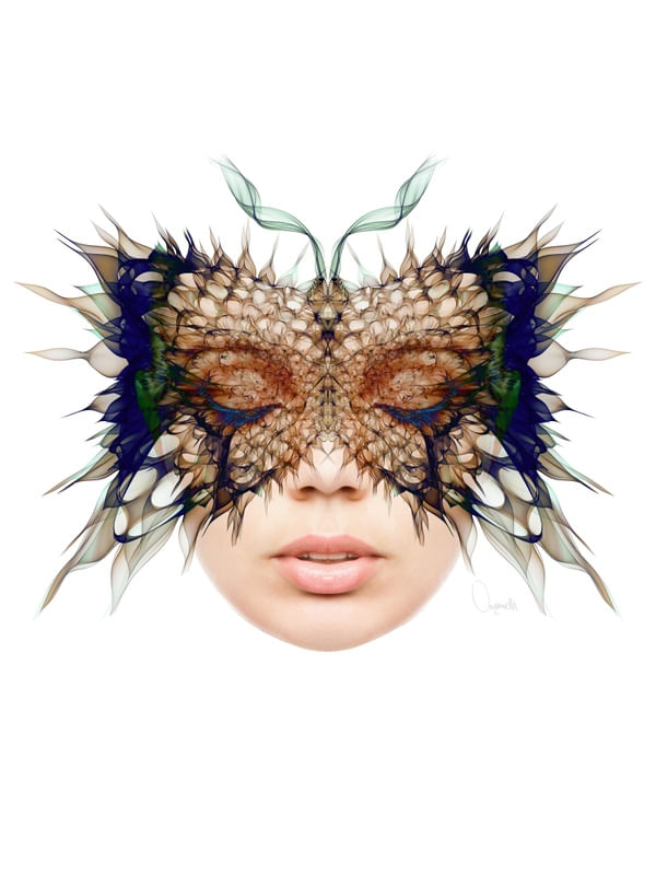 QUESTION MARK BUTTERFLY C