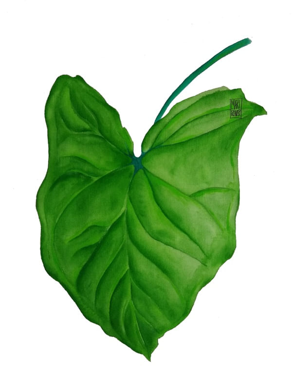 SINGÔNIA