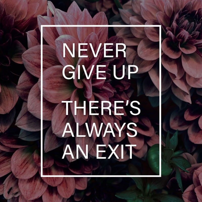 NEVER GIVE UP (Q)