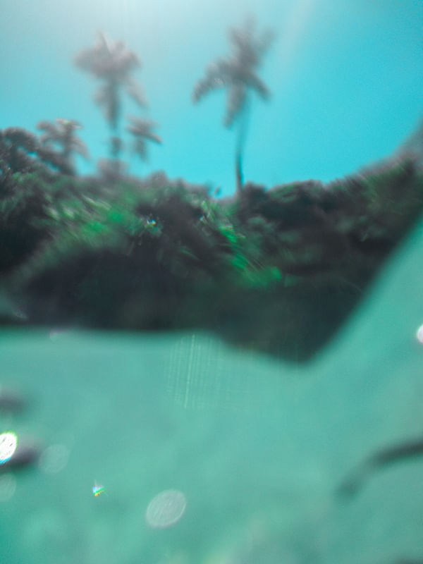 VEJO O PARAÍSO DAQUI