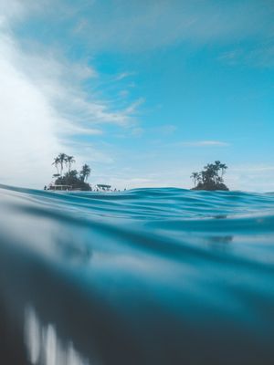 A DAY IN PARADISE I