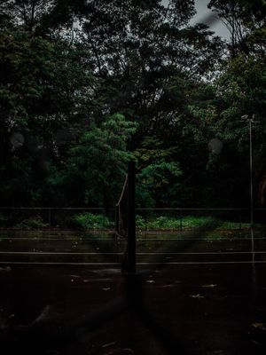 THROUGH THE FENCE