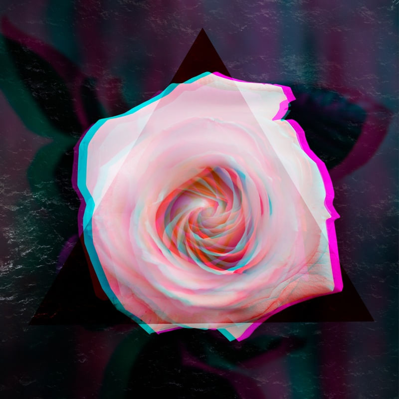 FLOWER 3D (Q)