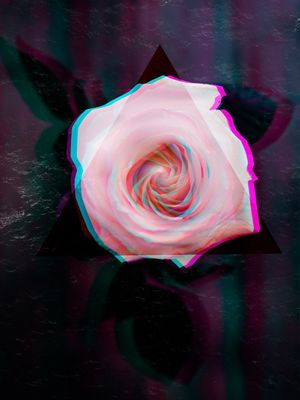 FLOWER 3D (R)