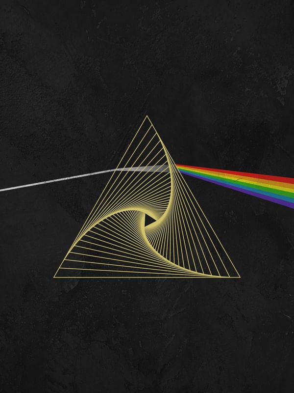 THE DARK SIDE OF THE ROOM