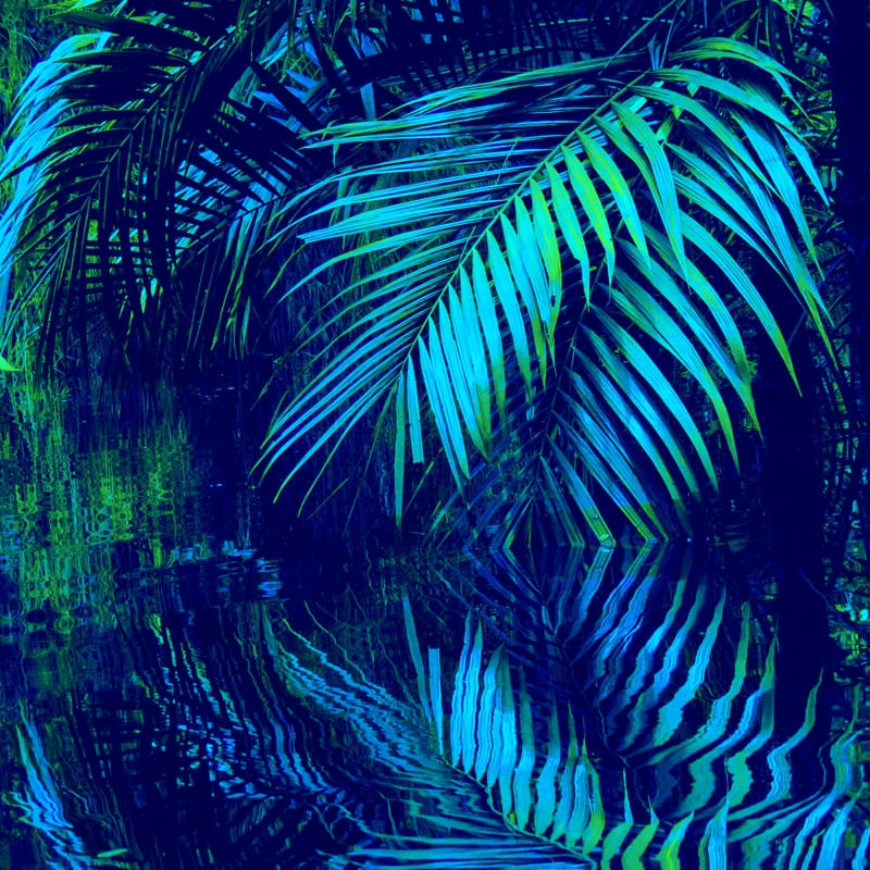 PSYCHEDELIC AMAZON