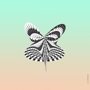 BORBOLETA SOB AREIA ROSA