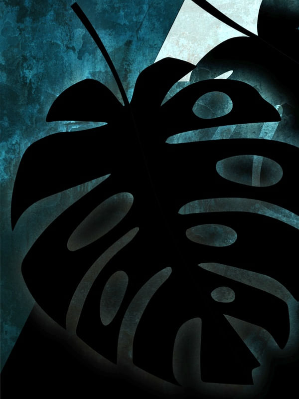 TROPICAL BLACK BLUE