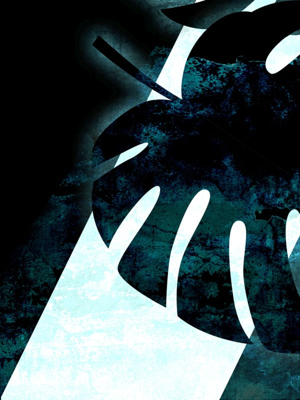 TROPICAL BLACK BLUE 2
