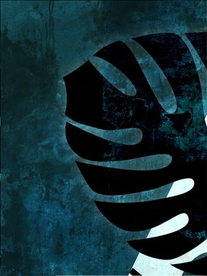TROPICAL BLACK BLUE 3