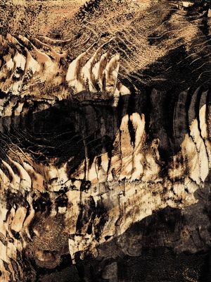 ANCIENT TIMBERS, RUSTIC SEPIA 1