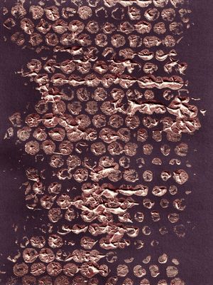 BLOTS AND DOTS 1, VIOLET ROSE GOLD
