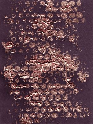 BLOTS AND DOTS 2, VIOLET ROSE GOLD