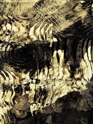 ANCIENT TIMBERS, GOLDEN YELLOW 1