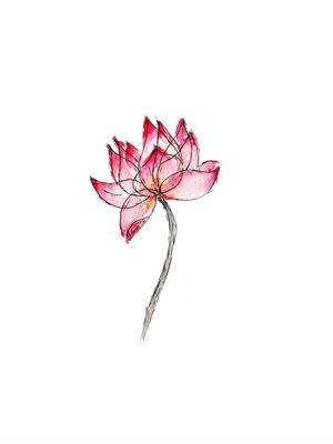 LOTUS ROSE