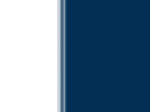 ABSTRACT 4 - DV