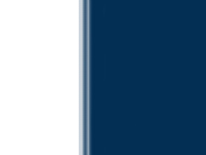 ABSTRACT 4 - DV