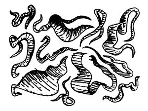 ORGÂNICO